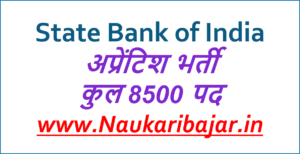 Read more about the article SBI Apprentice Recruitment 2020: स्‍टेट बैंक ऑफ इंडिया में 8500 अप्रेंटिश भर्ती