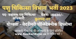 Read more about the article छ.ग. पशु चिकित्‍सा विभाग सहायक पशु चिकित्‍सा अधिकारी भर्ती : CG Pashu Chikitsa Officer Recruitment 2023