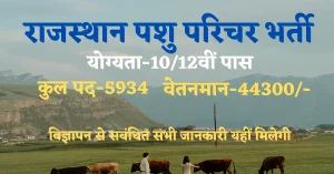 Read more about the article Rajasthan Jobs 2023 : RSMSSB Recruitment 2023 II राजस्‍थान कर्मचारी चयन बोर्ड में 5934 पदों में भर्ती